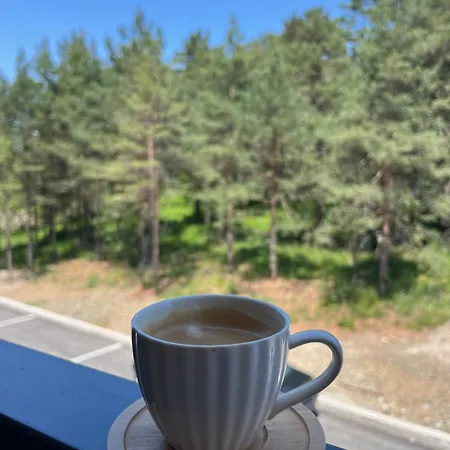 Apartamento Forest Hills