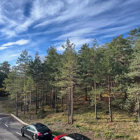 Forest Hills Apartamento